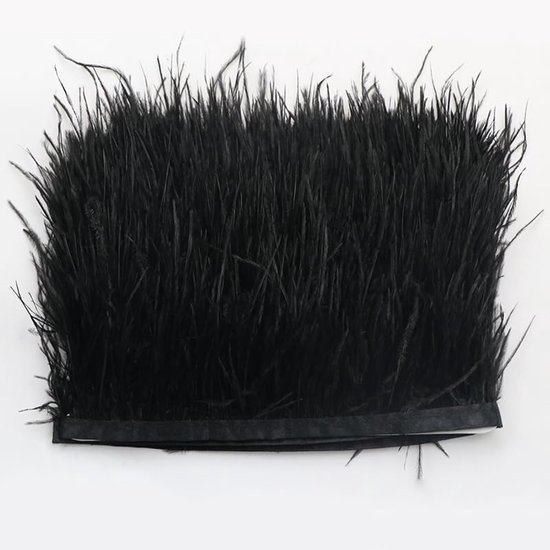 1 m Struisvogelveren, 8-10 cm, pluizige struisvogelveren, om te knutselen, veer, franjes, lint, doe-het-zelf struisvogelveer, satijnen lint, franjes voor struisvogelveren, handwerk, kostuums,