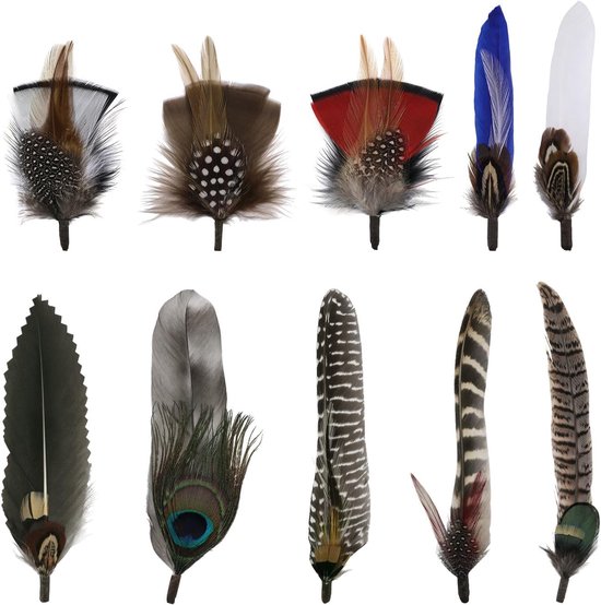 10 stuks 10 stijl hoed veren, veren voor ambachten, natuurlijke veren voor doe-het-zelf dromenvanger ambachten, kostuums, hoeden, handwerk, woondecoratie, Halloween, doe-het-zelf decoratie