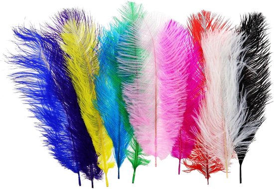 10 stuks veelkleurige struisvogelveren voor doe-het-zelf ambachten
