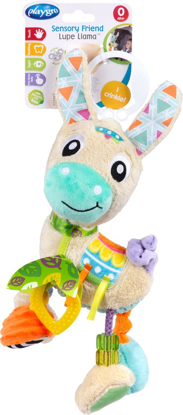 Activiteitenvriend Lama Lupe van Vtech