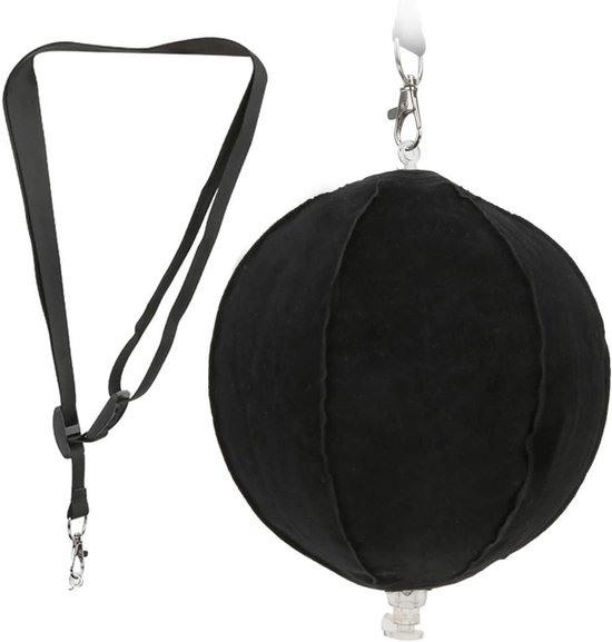 Allecto - Golf Swing Trainer - Golf Training Accessoire - Verstelbaar Ontwerp - Golf Swing Houding - Correctie - Golf Smart - Opblaasbare Ball Trainer - Geschikt voor Golf - Zwart van Merkloos