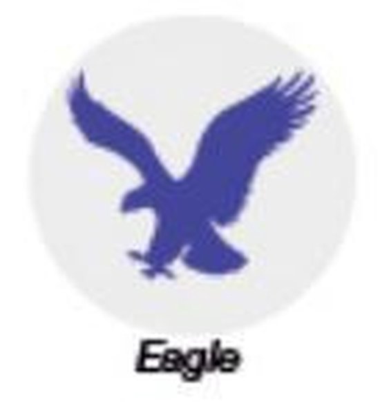Asbri Golf Ball Stamper Eagle - golfbalstempel