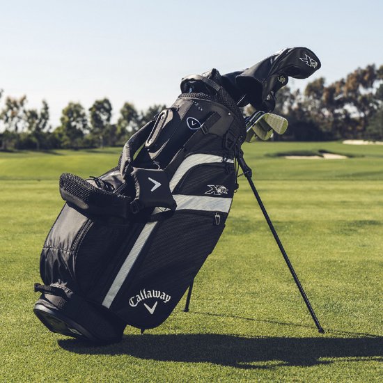 Callaway XR 26 - Heren Golfset | Standbag (steel shaft) | Zwart Zilver van Merkloos