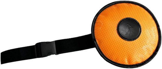 Golf Swing Trainer - Houding Corrector - Golf Houding Verbeteren - Draagbaar Ontwerp - 25 x 15 x 10 cm