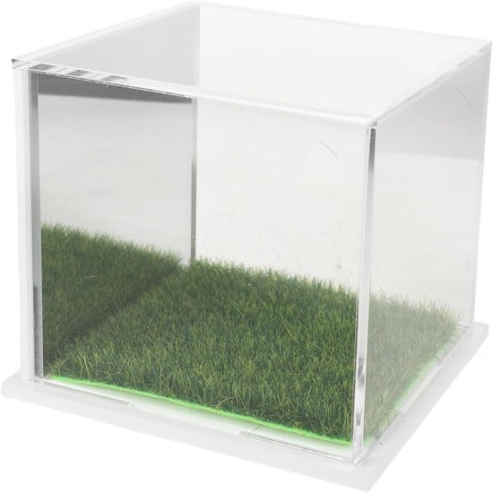 Golfbal Display Box - Sportbal Opslag - Verzamelingen Tonen - Kristalheldere Weergave - 9.5 cm - Wit