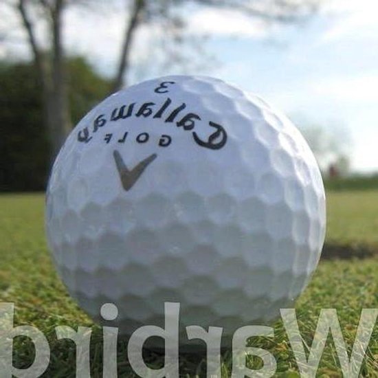 Golfballen - Lakeballs Oefenballen - Golf Spelen - Extreme Breedte - 50 stuks - Wit