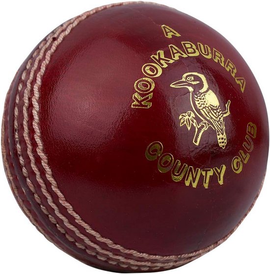 Hoogwaardige Genaaide Cricketbal voor Heren, Dames en Jongeren van Merkloos