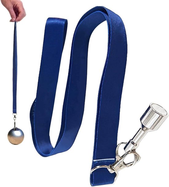 Jeu de boules plukker - Balverzamelaar - Sportieve collectie - Sterke magneet - 4.1x1.5cm - Blauw