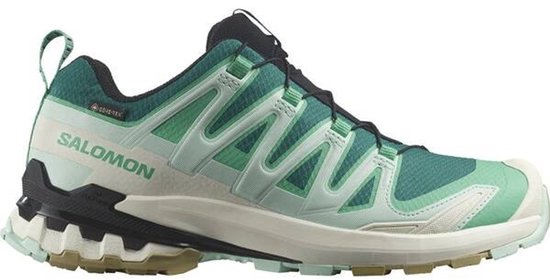 SALOMON - Shoes XA PRO 3D V9 GTX W - 6.5 - Lake/Electg/Van