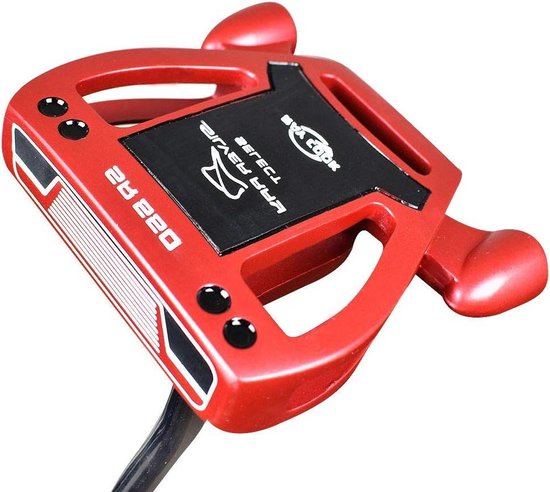 Silver Ray Select SR550 Putter - Golf Equipment van Ray Cook