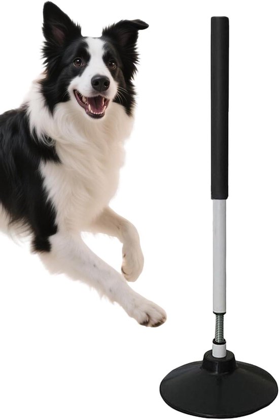 Trainingspalen Set - Sport Stokken - Vaardigheid Verbeteren - Snel Terugkaatsend - 60 Centimeter - Zwart