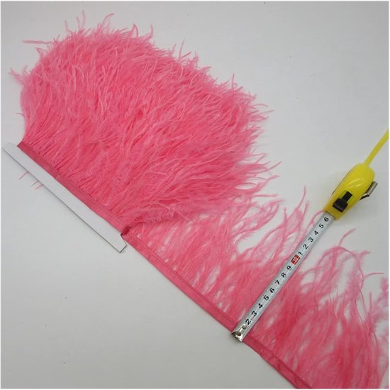 versieringen Lint Multicolor Plumes Fringe Trim 10-1 5 cm for rok/jurk Purple Crafts Plumage Kleding Dansschoenen Decoratie (Color : Watermelon red, Size : 2 yards)